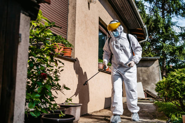 Best Mosquito Control Services  in Crystal City, TX