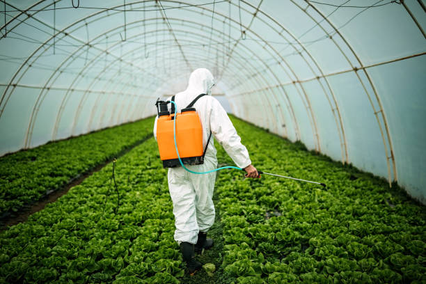 Best Pest Prevention Services  in Crystal City, TX